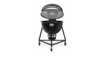 Summit Kamado E6