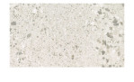 Arbeitsplattenausführungen: Terrazzo Bianco